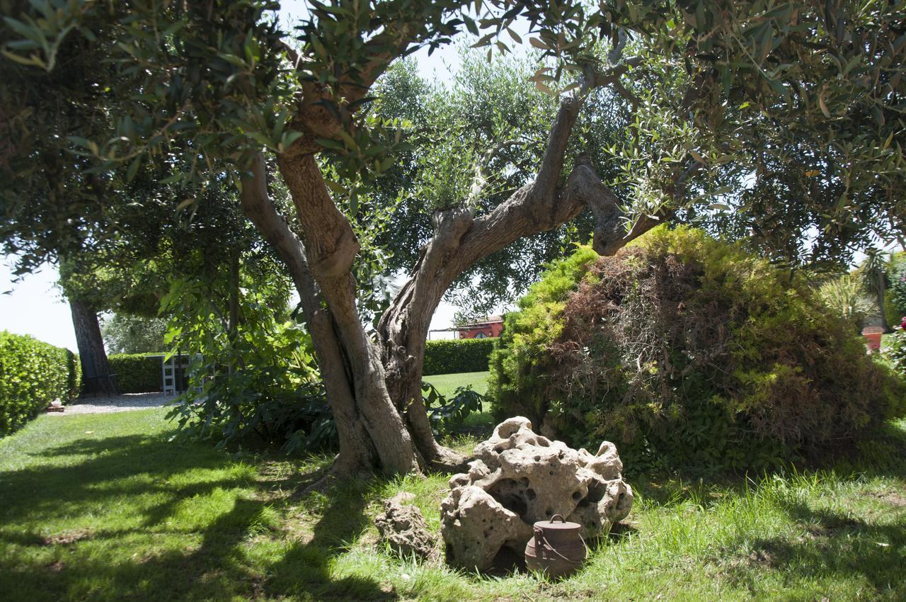 Hotel Rural Cal Ruget Vilobi Del Penedes Dış mekan fotoğraf