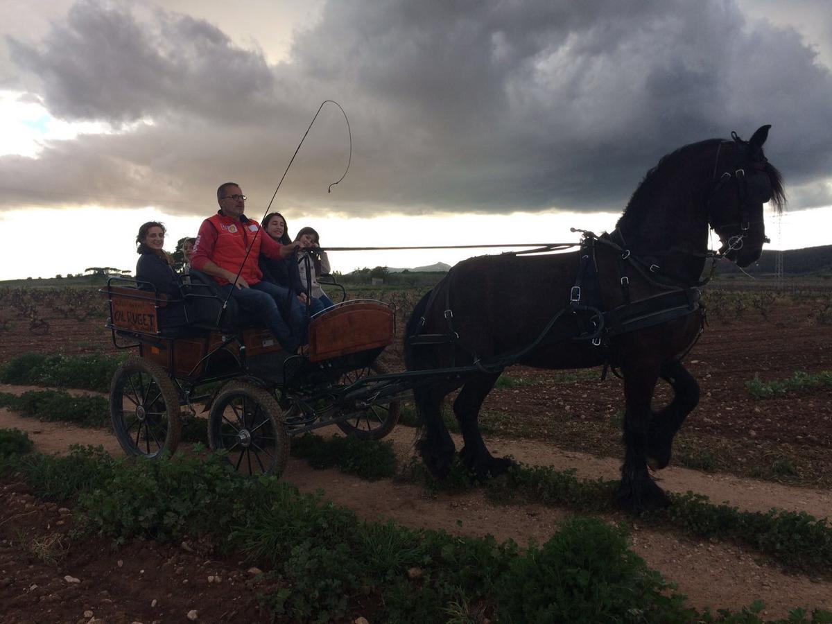 Hotel Rural Cal Ruget Vilobi Del Penedes Dış mekan fotoğraf